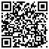 QR Code Handyversion