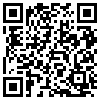 QR Code Handyversion