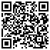 QR Code Handyversion