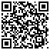 QR Code Handyversion