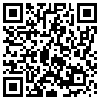 QR Code Handyversion