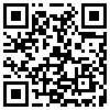 QR Code Handyversion