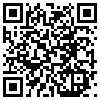 QR Code Handyversion