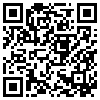 QR Code Handyversion