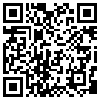 QR Code Handyversion