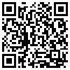 QR Code Handyversion