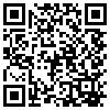 QR Code Handyversion