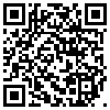 QR Code Handyversion