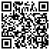 QR Code Handyversion