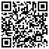 QR Code Handyversion