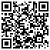 QR Code Handyversion