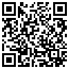 QR Code Handyversion