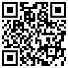 QR Code Handyversion