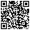 QR Code Handyversion