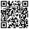 QR Code Handyversion