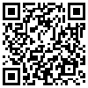 QR Code Handyversion