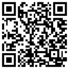 QR Code Handyversion