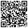 QR Code Handyversion