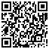 QR Code Handyversion