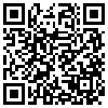 QR Code Handyversion