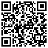 QR Code Handyversion