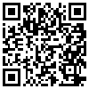 QR Code Handyversion