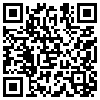 QR Code Handyversion