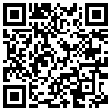 QR Code Handyversion