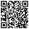 QR Code Handyversion