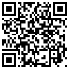 QR Code Handyversion