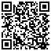 QR Code Handyversion