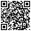 QR Code Handyversion