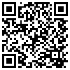 QR Code Handyversion