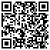 QR Code Handyversion