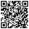 QR Code Handyversion