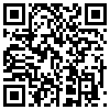 QR Code Handyversion