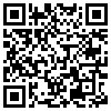 QR Code Handyversion