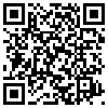 QR Code Handyversion