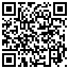 QR Code Handyversion