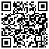 QR Code Handyversion