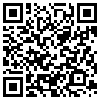 QR Code Handyversion