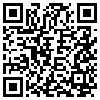 QR Code Handyversion