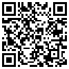 QR Code Handyversion