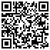 QR Code Handyversion