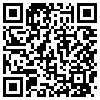 QR Code Handyversion