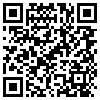 QR Code Handyversion