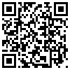 QR Code Handyversion