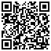 QR Code Handyversion