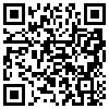 QR Code Handyversion