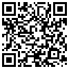 QR Code Handyversion